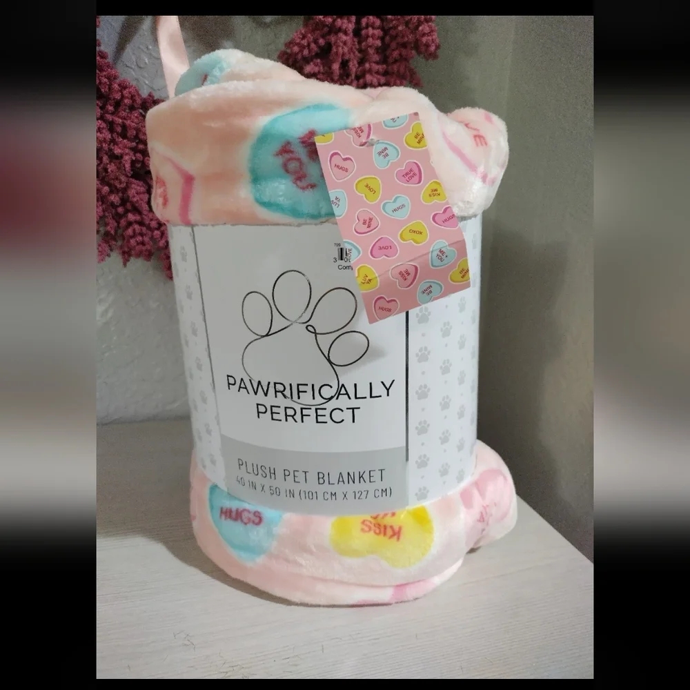 Valentine's Conversation Hearts Plush Blanket Throw Pet NEW